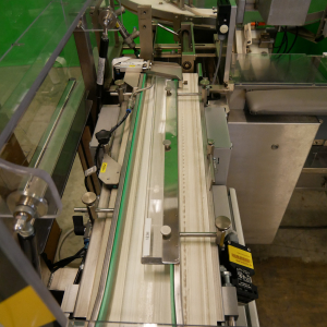 Bosch Car T5 horizontal cartoning machin... 5