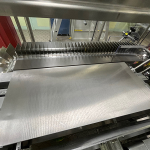 SOMIC 424 T2 tray/cover packer for colle... 14