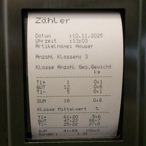 Garvens TopLine VS2 Bandkontrollwaage mi... 8