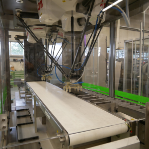 Romaco-Siebler FlexTrans FT1-400 for str... 7