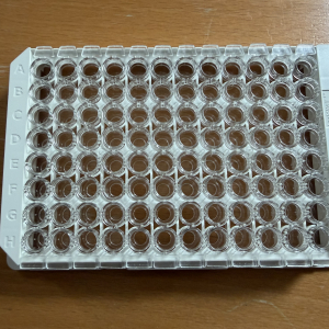 Optima MEDICON ImmuCoat komplette Produk... 20